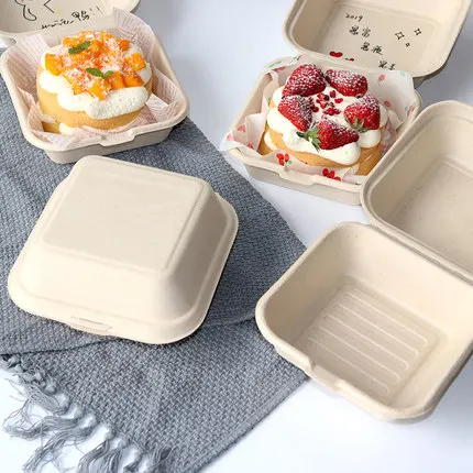 50 قطعة صديقة للبيئة المتاح بي - مراجعة Meal Prep For A Day وسعره